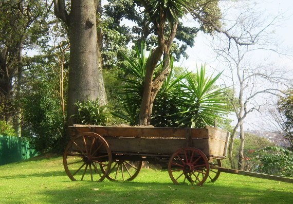 residenciais