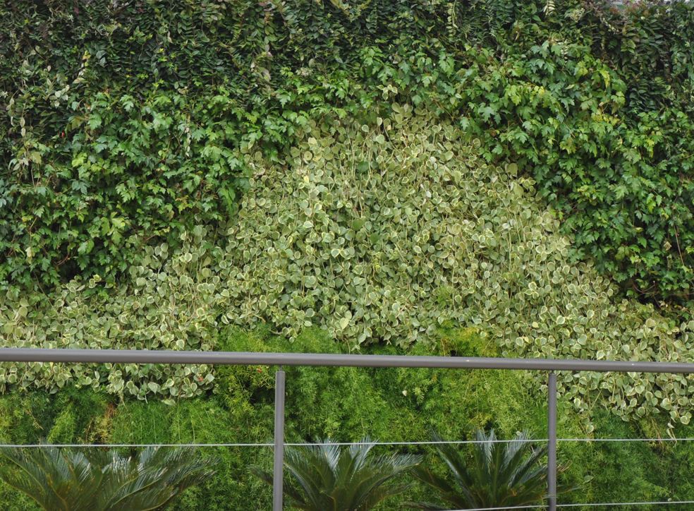 Parede Verde